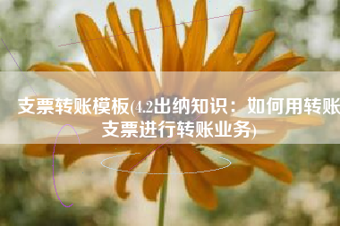 支票转账模板(4.2出纳知识：如何用转账支票进行转账业务)