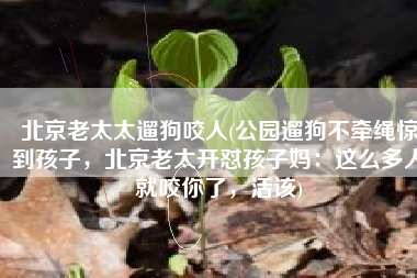 北京老太太遛狗咬人(公园遛狗不牵绳惊到孩子，北京老太开怼孩子妈：这么多人就咬你了，活该)