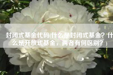 封闭式基金代码(什么是封闭式基金？什么是开放式基金，两者有何区别？)