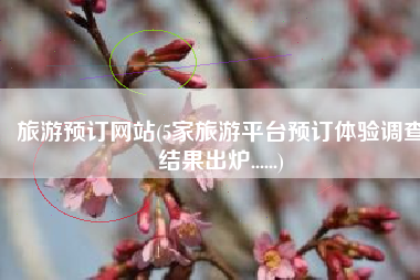 旅游预订网站(5家旅游平台预订体验调查结果出炉......)
