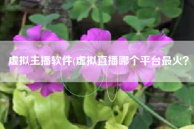 虚拟主播软件(虚拟直播哪个平台最火？)