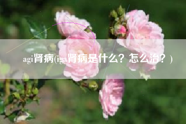 agi肾病(iga肾病是什么？怎么治？)