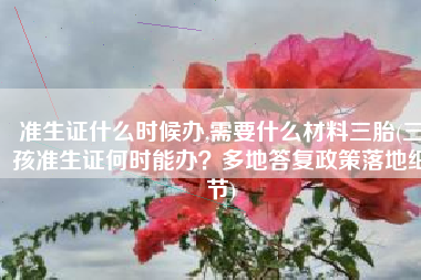 准生证什么时候办,需要什么材料三胎(三孩准生证何时能办？多地答复政策落地细节)