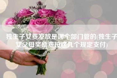 独生子女费发放是哪个部门管的(独生子女父母奖励费按这几个规定支付)