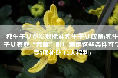 独生子女费发放标准独生子女政策(独生子女家庭“恭喜”啦！满足这些条件可享受3项补贴+2大福利)