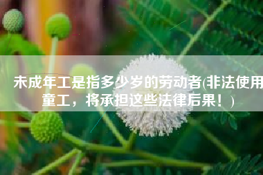 未成年工是指多少岁的劳动者(非法使用童工，将承担这些法律后果！)