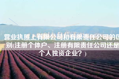 营业执照上有限公司和有限责任公司的区别(注册个体户、注册有限责任公司还是个人独资企业？)