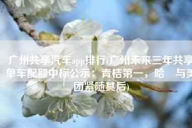 广州共享汽车app排行(广州未来三年共享单车配额中标公示：青桔第一，哈啰与美团紧随其后)