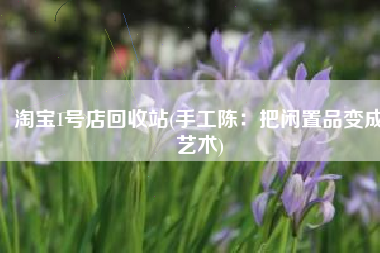 淘宝1号店回收站(手工陈：把闲置品变成艺术)