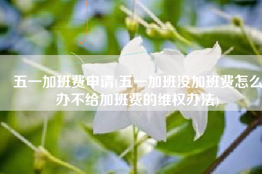 五一加班费申请(五一加班没加班费怎么办不给加班费的维权办法)