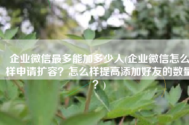 企业微信最多能加多少人(企业微信怎么样申请扩容？怎么样提高添加好友的数量？)