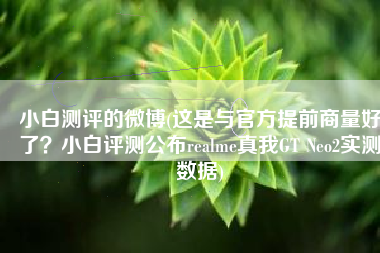 小白测评的微博(这是与官方提前商量好了？小白评测公布realme真我GT Neo2实测数据)
