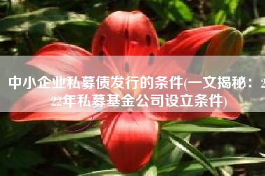 中小企业私募债发行的条件(一文揭秘：2022年私募基金公司设立条件)