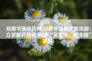 安徽华源医药网(安徽华源现代物流园：立足医药特色 构建“买全国，卖全国”格局)