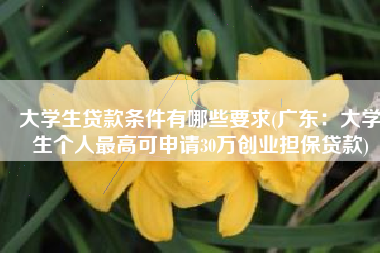 大学生贷款条件有哪些要求(广东：大学生个人最高可申请30万创业担保贷款)