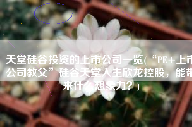 天堂硅谷投资的上市公司一览(“PE+上市公司教父”硅谷天堂入主欣龙控股，能带来什么想象力？)