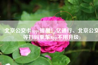 北京公交卡app(提醒！亿通行、北京公交等扫码乘车App不用升级)
