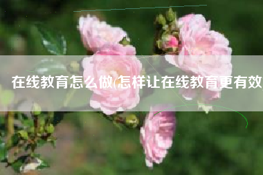 在线教育怎么做(怎样让在线教育更有效)
