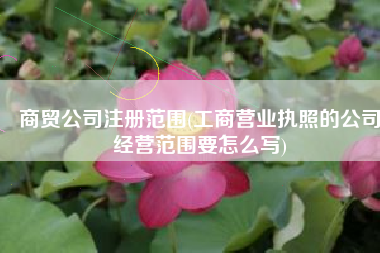 商贸公司注册范围(工商营业执照的公司经营范围要怎么写)