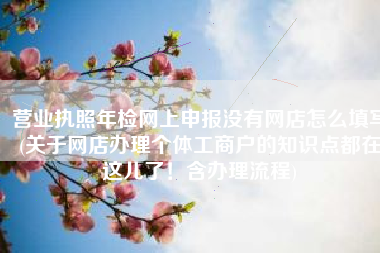 营业执照年检网上申报没有网店怎么填写(关于网店办理个体工商户的知识点都在这儿了！含办理流程)