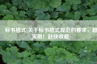 标书格式(关于标书格式规范的要求，超实用！赶快收藏)