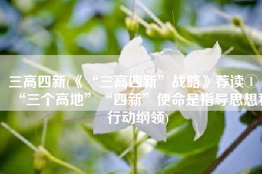 三高四新(《“三高四新”战略》荐读①丨“三个高地”“四新”使命是指导思想和行动纲领)