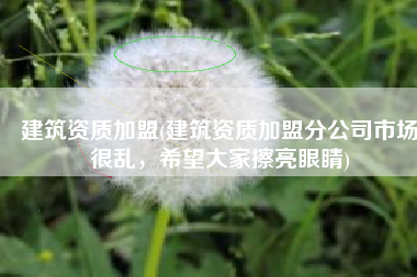 建筑资质加盟(建筑资质加盟分公司市场很乱，希望大家擦亮眼睛)