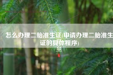 怎么办理二胎准生证(申请办理二胎准生证的具体程序)