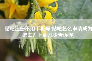 贴吧注册不用手机号(贴吧怎么申请成为吧主？下面几步告诉你)