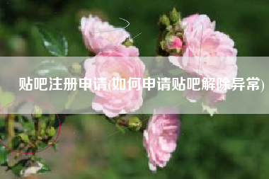 贴吧注册申请(如何申请贴吧解除异常)