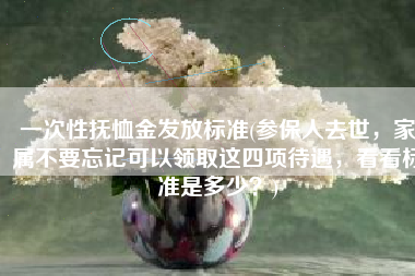 一次性抚恤金发放标准(参保人去世，家属不要忘记可以领取这四项待遇，看看标准是多少？)