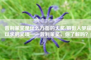 普利策奖是什么方面的大奖(摄影人梦寐以求的奖项——普利策奖，你了解吗？)