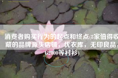 消费者购买行为的起点和终点(8家值得收藏的品牌源头店铺，优衣库，无印良品，G2000等衬衫)
