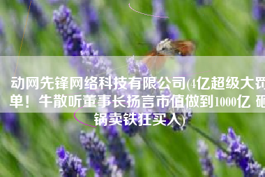 动网先锋网络科技有限公司(4亿超级大罚单！牛散听董事长扬言市值做到1000亿 砸锅卖铁狂买入)