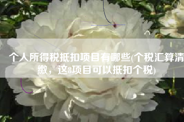 个人所得税抵扣项目有哪些(个税汇算清缴，这8项目可以抵扣个税)