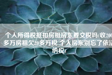 个人所得税抵扣房租房东要交税吗(收200多万房租欠20多万税 个人房东别忘了依法纳税)
