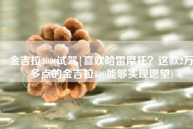 金吉拉300(试驾|喜欢哈雷摩托？这款2万多点的金吉拉300能够实现愿望)