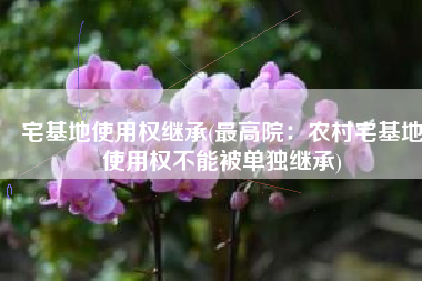 宅基地使用权继承(最高院：农村宅基地使用权不能被单独继承)