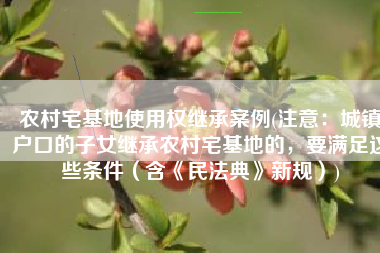 农村宅基地使用权继承案例(注意：城镇户口的子女继承农村宅基地的，要满足这些条件（含《民法典》新规）)