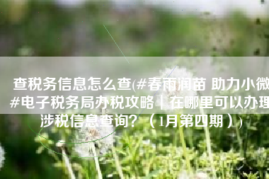 查税务信息怎么查(#春雨润苗 助力小微#电子税务局办税攻略┃在哪里可以办理涉税信息查询？（1月第四期）)