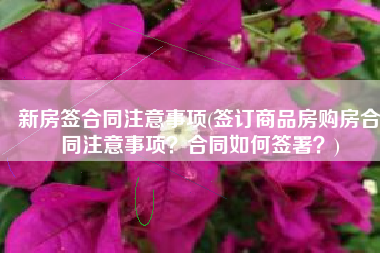 新房签合同注意事项(签订商品房购房合同注意事项？合同如何签署？)