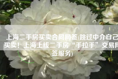 上海二手房买卖合同网签(跳过中介自己买卖！上海上线二手房“手拉手”交易网签服务)