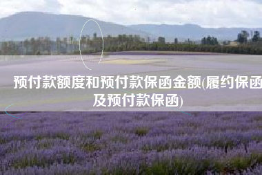 预付款额度和预付款保函金额(履约保函及预付款保函)