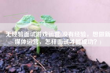 无经验面试游戏运营(没有经验，想做新媒体运营，怎样面试才能成功？)