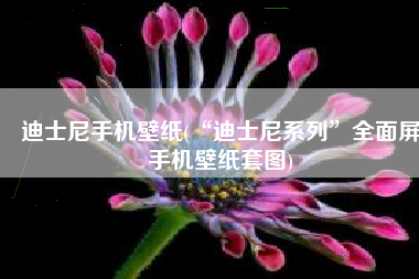 迪士尼手机壁纸(“迪士尼系列”全面屏手机壁纸套图)