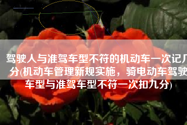 驾驶人与准驾车型不符的机动车一次记几分(机动车管理新规实施，骑电动车驾驶车型与准驾车型不符一次扣九分)