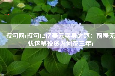 拉勾网(拉勾1.2亿美元卖身之惑：前程无忧这笔投资为何花三年)