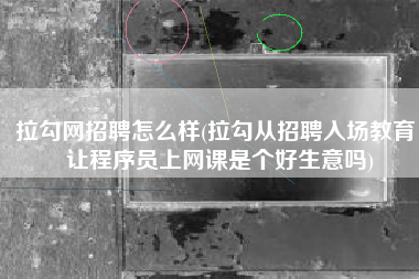 拉勾网招聘怎么样(拉勾从招聘入场教育，让程序员上网课是个好生意吗)
