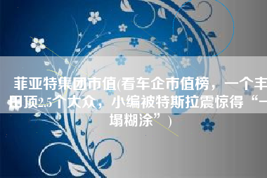 菲亚特集团市值(看车企市值榜，一个丰田顶2.5个大众，小编被特斯拉震惊得“一塌糊涂”)