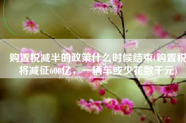 购置税减半的政策什么时候结束(购置税将减征600亿，一辆车或少花数千元)